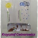 krzysztof-cwinmarowicz-5d