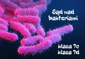 sad-nad-bakteriami-tytul