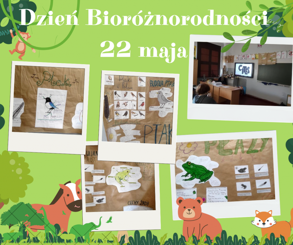 dzien-bioroznorodnosci-2025