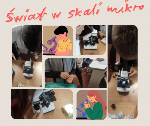 swiat-w-skali-mikro-1