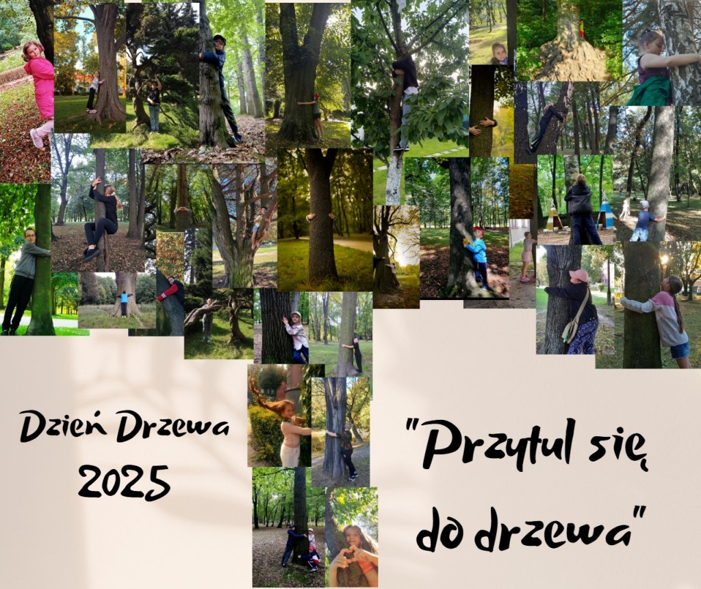 dzien-drzewa-2025