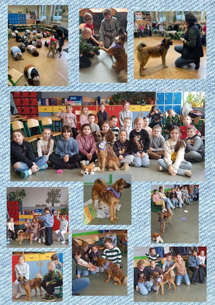 projekt-bez-nazwy_20260414_162105_0000